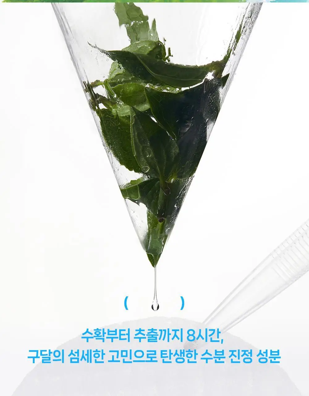 [수분캐치/진정패드] 구달 어성초 히알루론 수딩 클리어 패드 70매 더블기획 (+70매 리필) 상세페이지 29